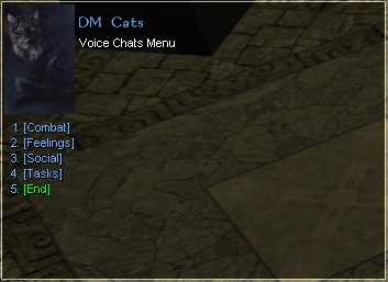 Voice Chats